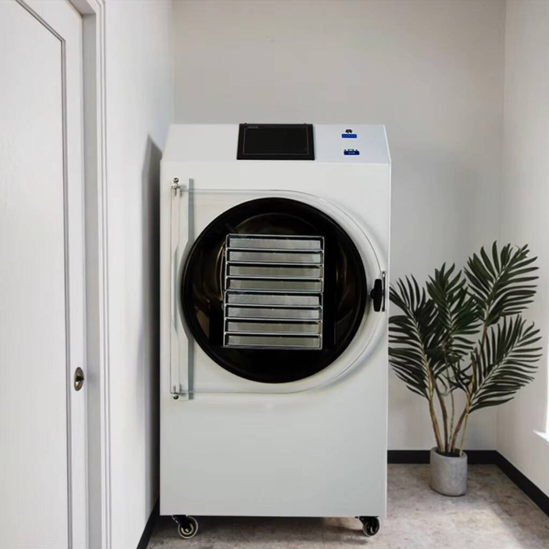 Dried Fruit - Machine de séchage automatique contrôlée par