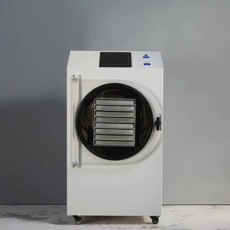 Machine de séchage automatique - Dried Fruit avis et prix